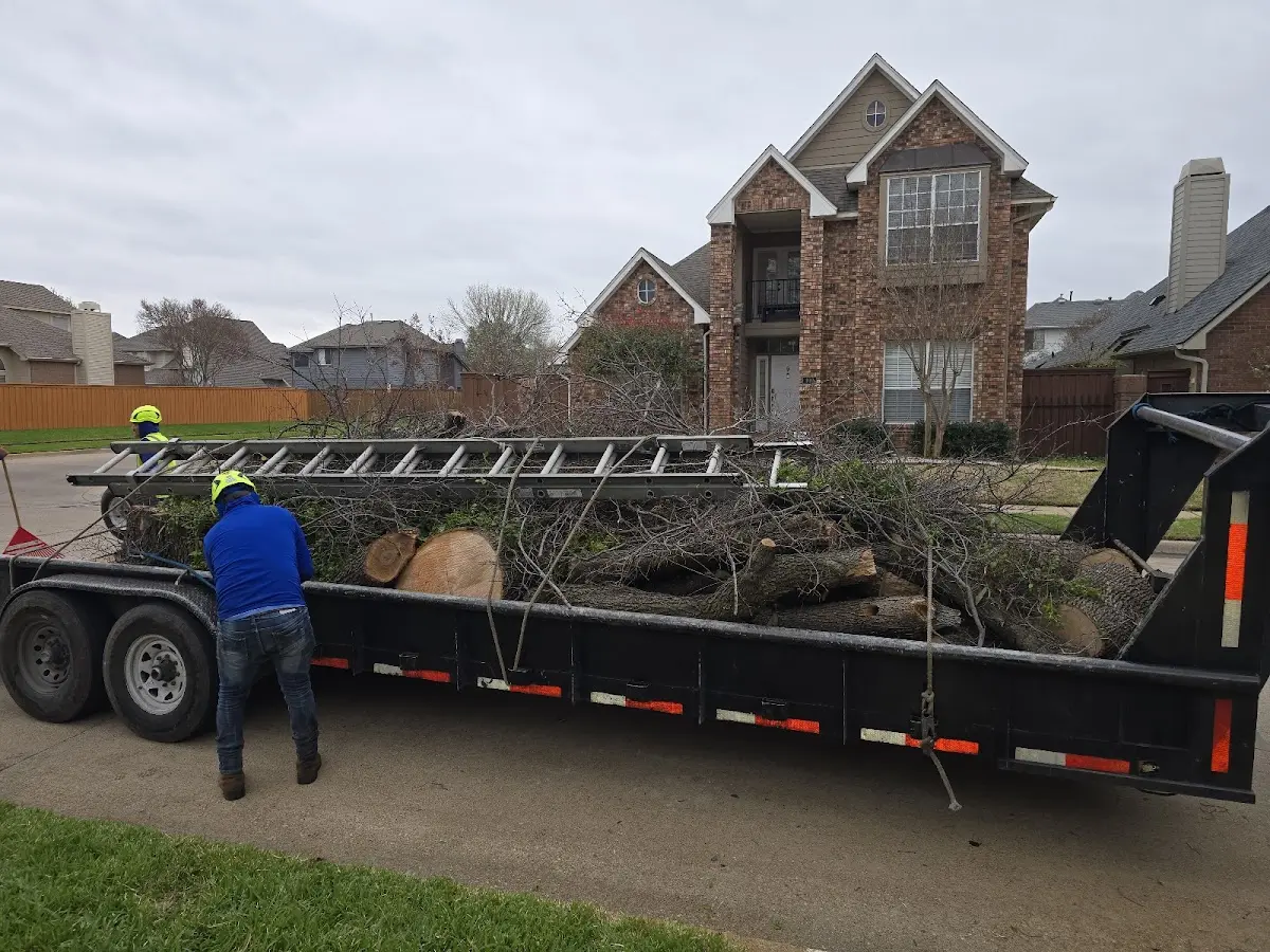 Expert Crown Reduction with proper safety equipment in Lester Prairie